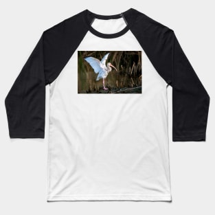 Immature White Ibis Entertaining Baseball T-Shirt